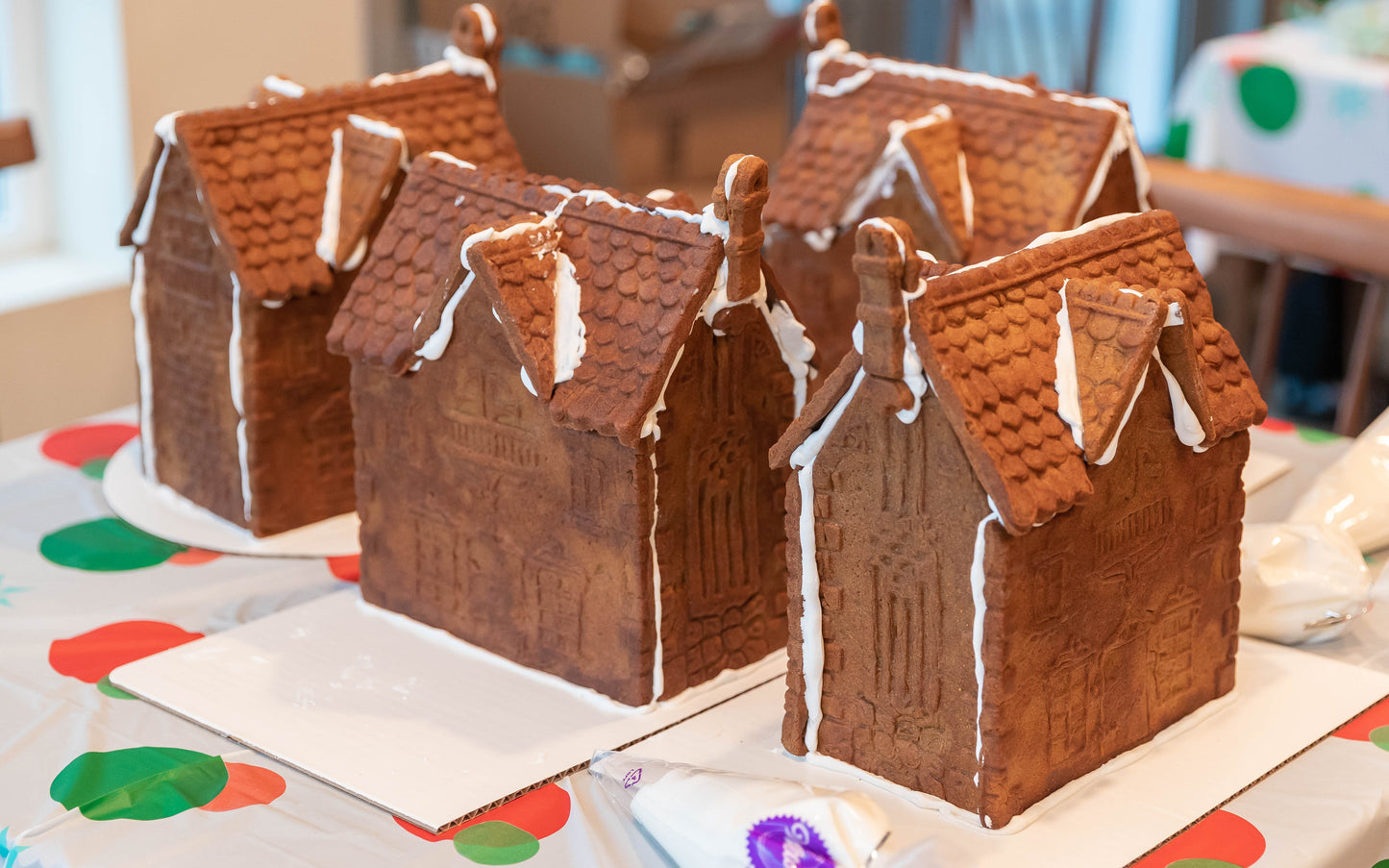 Gingerbread House with Icing Kit
